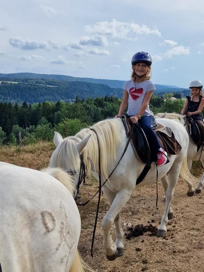 Chez Herve Le Chatelet La Chaux Neuve エクステリア 写真
