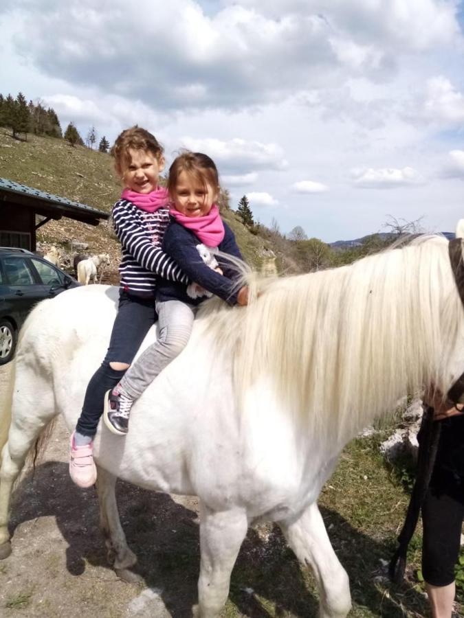 Chez Herve Le Chatelet La Chaux Neuve エクステリア 写真